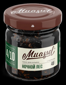 MuasselНочной Лес